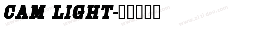 Cam Light字体转换